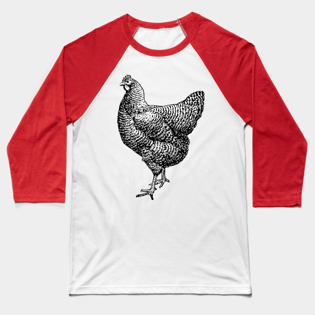 Vintage Barred Plymouth Rock Chicken Hen Baseball T-Shirt by Pixelchicken